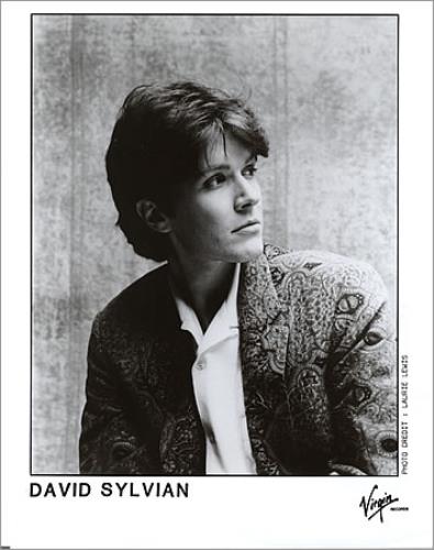 David Sylvian Gone To Earth + Plus Press Pack US Promo media